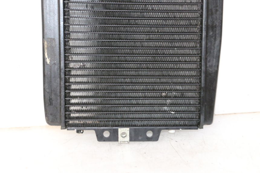 photo de COOLANT RADIATOR PIAGGIO MP3 LT 300 (2010 - 2016) - Additional view of the item