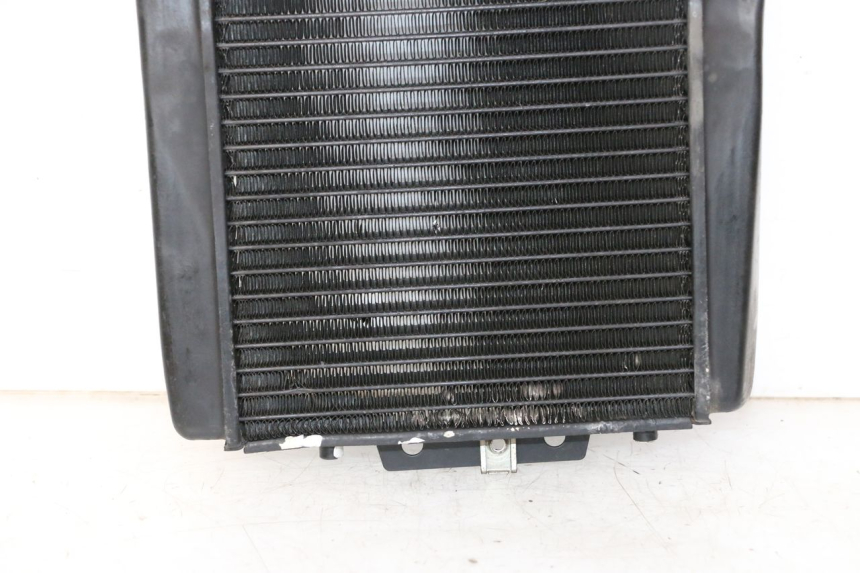 photo de COOLANT RADIATOR PIAGGIO MP3 LT 300 (2010 - 2016) - High-resolution close-up