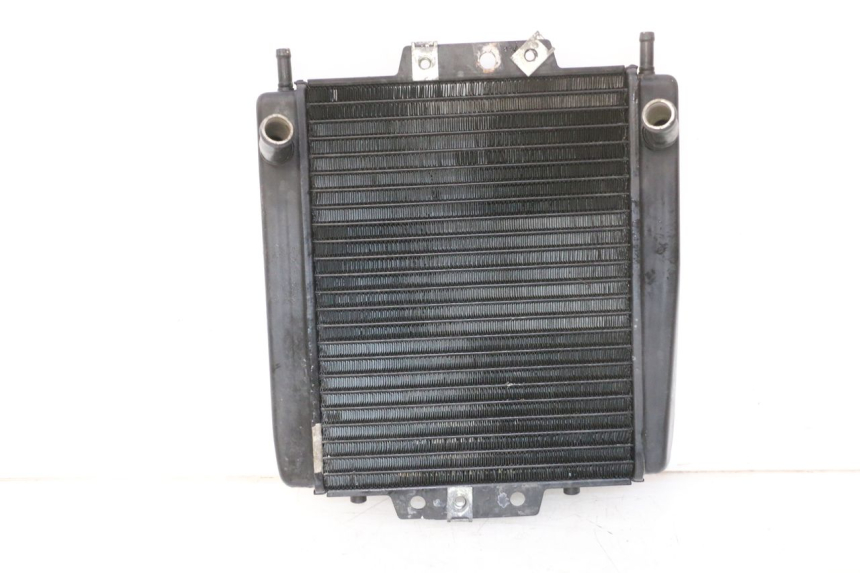 photo de COOLANT RADIATOR PIAGGIO MP3 RL 250 (2006 - 2010) - Main view
