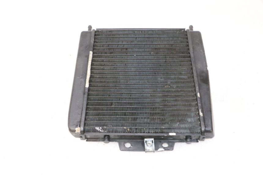 photo de COOLANT RADIATOR PIAGGIO MP3 RL 250 (2006 - 2010) - Technical close-up