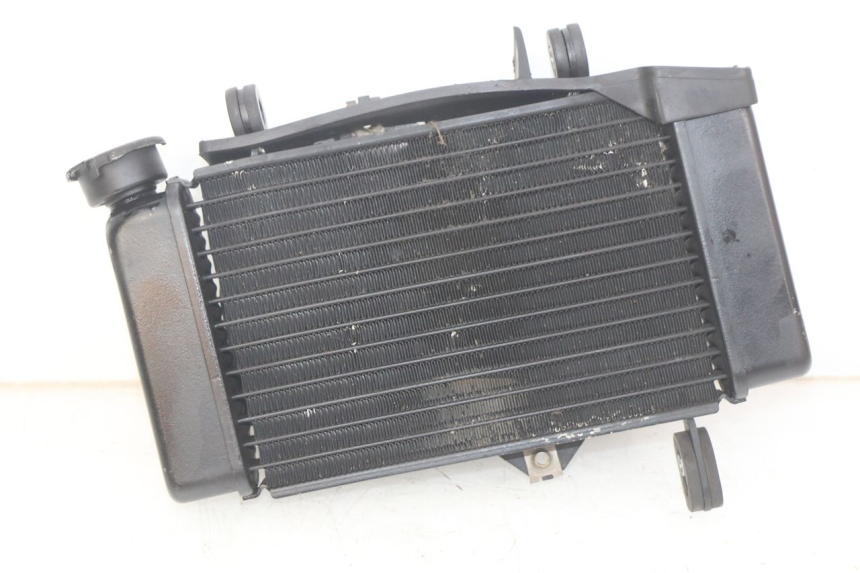 photo de RADIATOR YAMAHA MT ABS 125 (2014 - 2018) - Main view