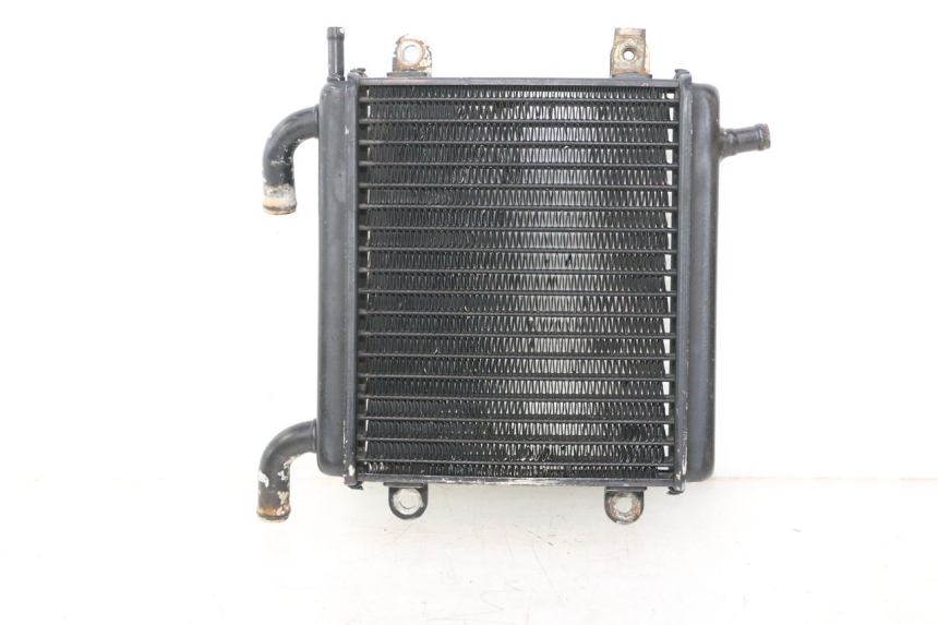 photo de COOLANT RADIATOR MBK NITRO 50 (2004 - 2008) - Main view
