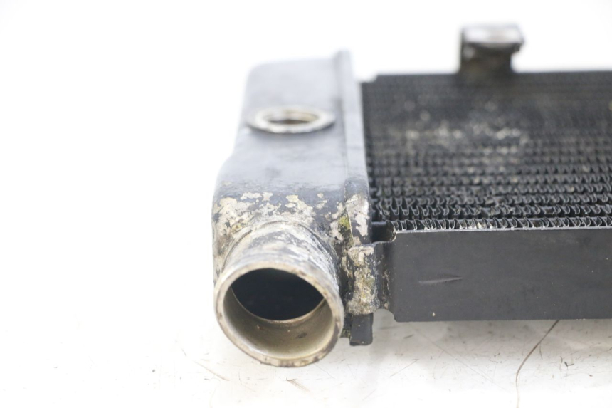 photo de RADIATOR HONDA NTV DEAUVILLE 650 (1998 - 2001) - Zoom on usage condition