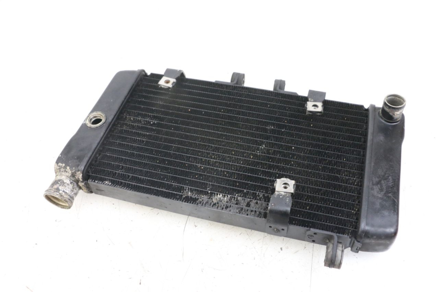 photo de RADIATOR HONDA NTV DEAUVILLE 650 (1998 - 2001) - Alternative perspective