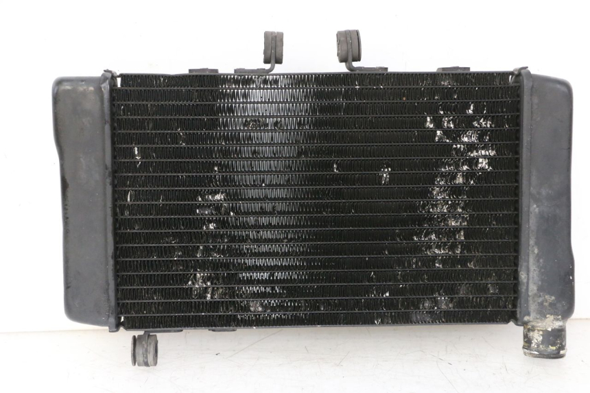 photo de COOLANT RADIATOR HONDA NTV DEAUVILLE 650 (2001 - 2006) - Main view