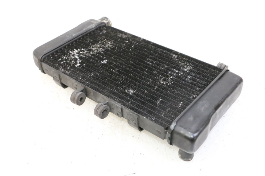 photo de COOLANT RADIATOR HONDA NTV DEAUVILLE 650 (2001 - 2006) - Component detail