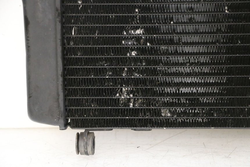 photo de COOLANT RADIATOR HONDA NTV DEAUVILLE 650 (2001 - 2006) - Surface and material condition