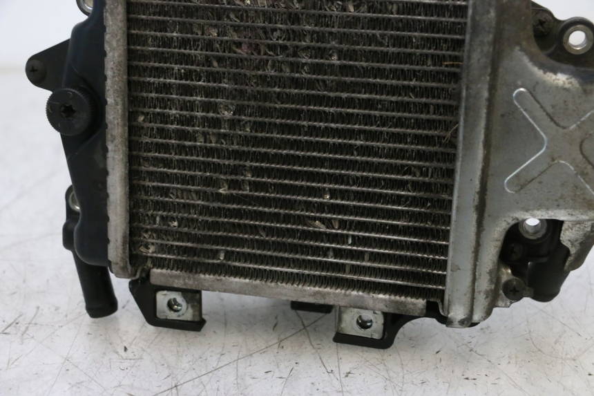photo de COOLANT RADIATOR HONDA PCX (JF57/JF64) 125 (2014 - 2018) - Markings and original references
