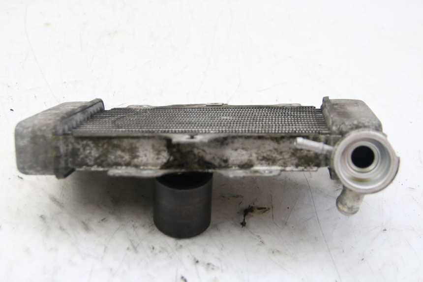 photo de RADIATOR HONDA PES PS I 125 (2006 - 2012) - Alternative perspective