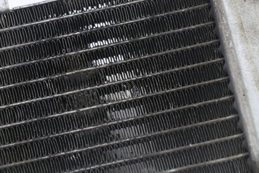 photo de RADIATOR GILERA RUNNER SP 50 (2009 - 2017) - Alternative perspective