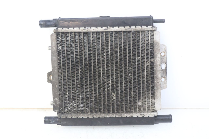 photo de RADIATOR PEUGEOT SATELIS 125 (2006 - 2009) - Zoom on usage condition