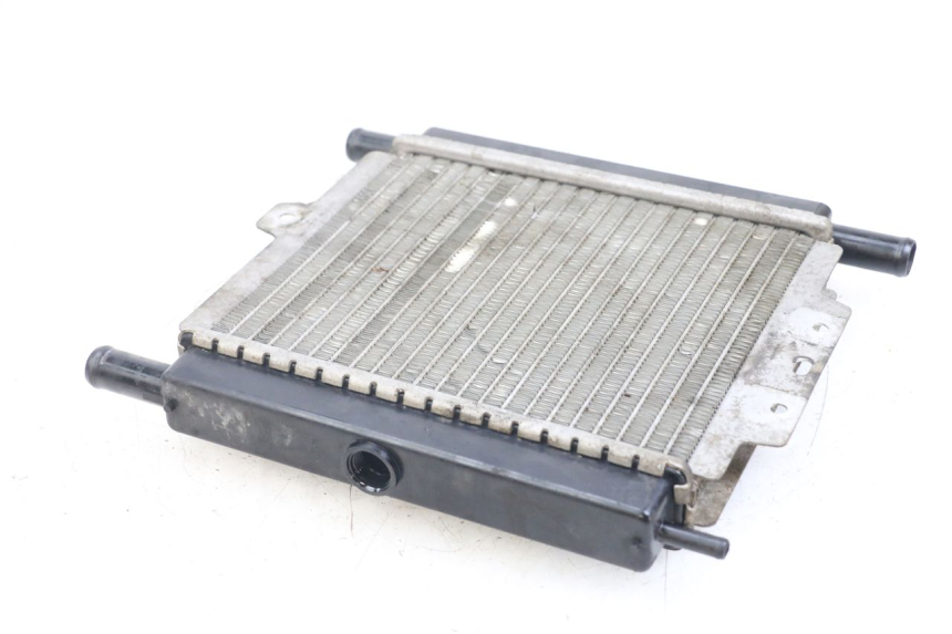 photo de RADIATOR PEUGEOT SATELIS 125 (2006 - 2009) - Zoom on usage condition