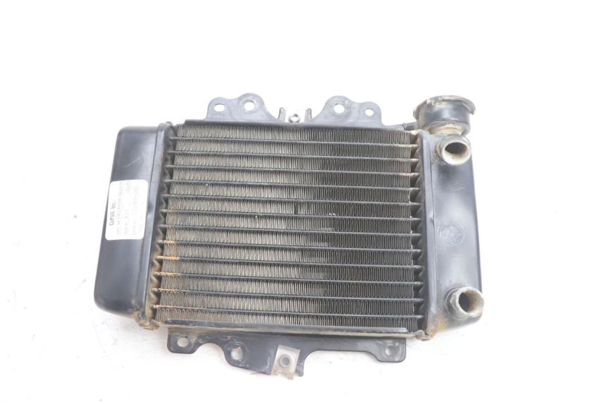 photo de COOLANT RADIATOR HONDA SH 125 (2001 - 2003) - Main view