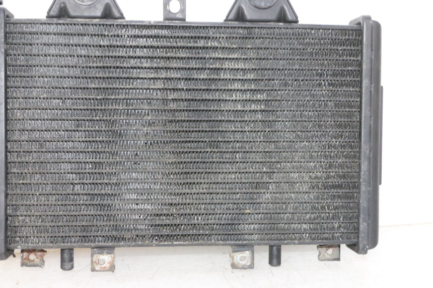 photo de COOLANT RADIATOR TRIUMPH SPRINT 900 (1995 - 1998) - Distinctive features