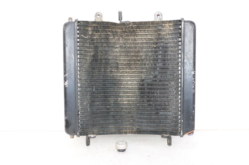 photo de COOLANT RADIATOR KTM SUPERENDURO R 950 (2005 - 2009) - Main view