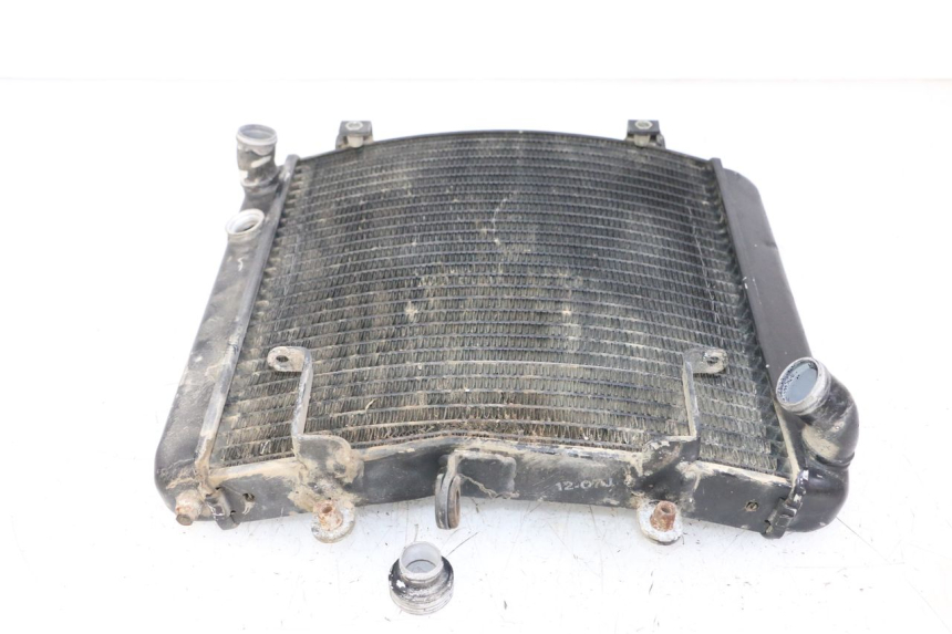 photo de COOLANT RADIATOR KTM SUPERENDURO R 950 (2005 - 2009) - Alternative perspective