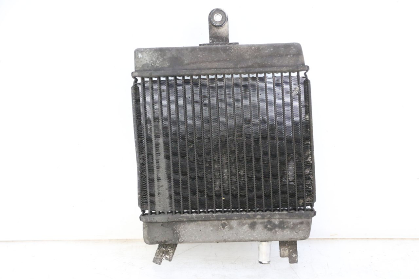 photo de COOLANT RADIATOR SUZUKI BURGMAN 125 (2015 - 2017) - Main view