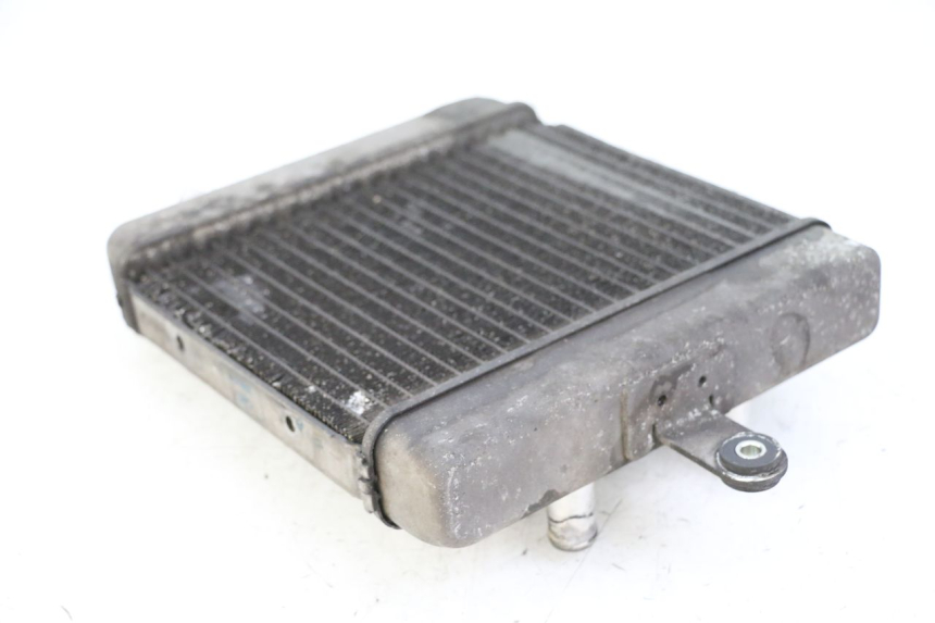 photo de COOLANT RADIATOR SUZUKI BURGMAN 125 (2015 - 2017) - Alternative perspective