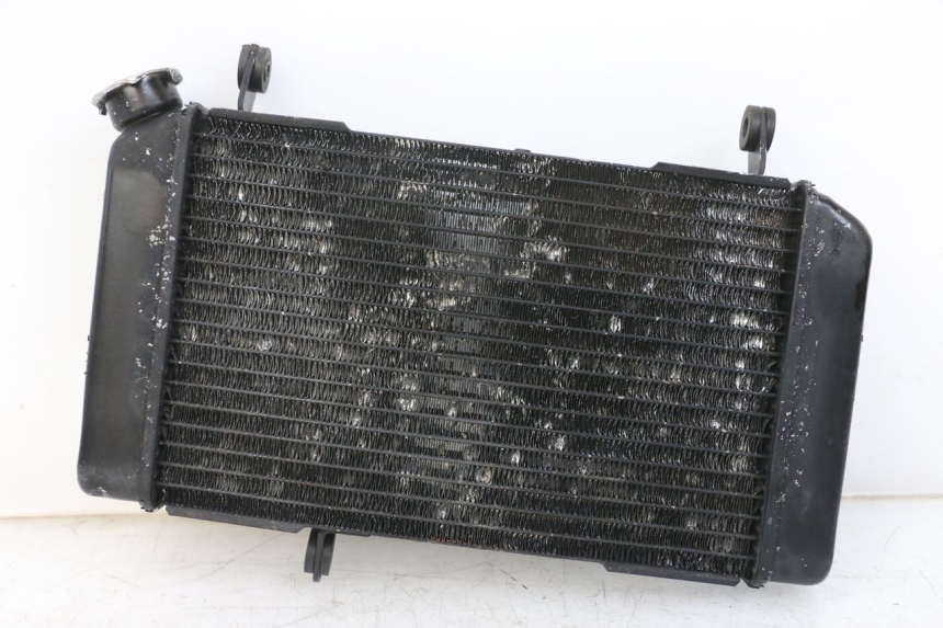 photo de RADIATOR SUZUKI SV N 650 (1999 - 2002) - Main view