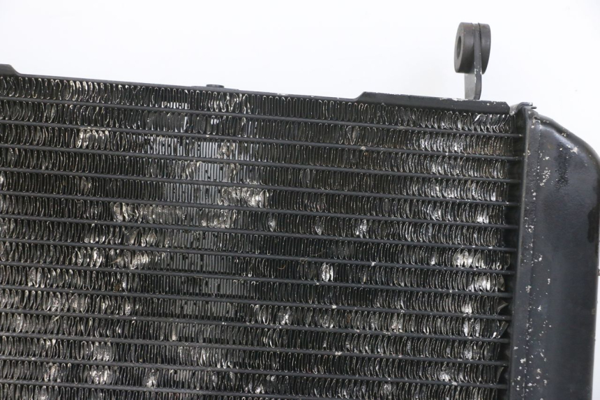 photo de RADIATOR SUZUKI SV N 650 (1999 - 2002) - Supplementary product photo