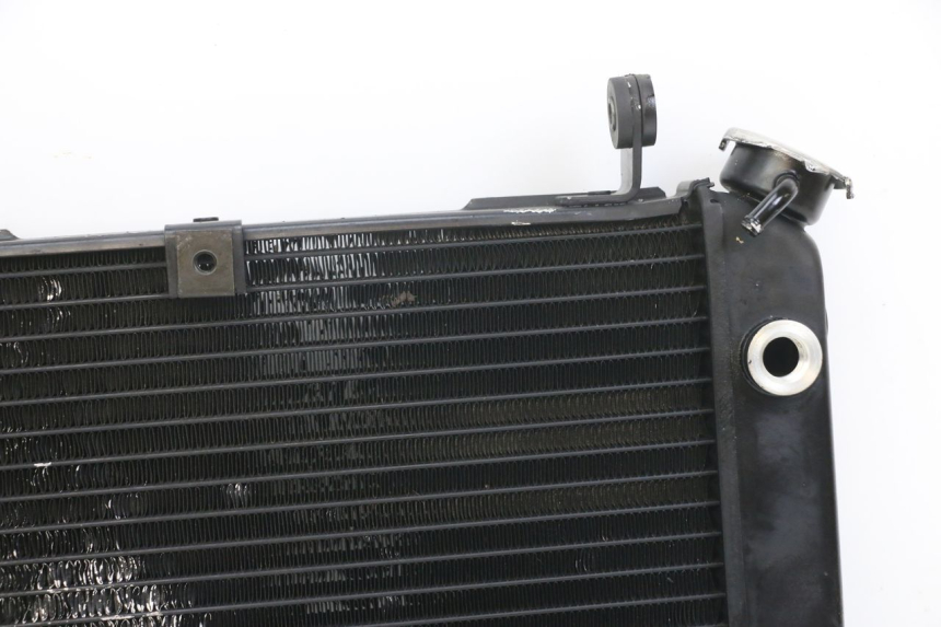 photo de RADIATOR SUZUKI SV N 650 (1999 - 2002) - Markings and original references