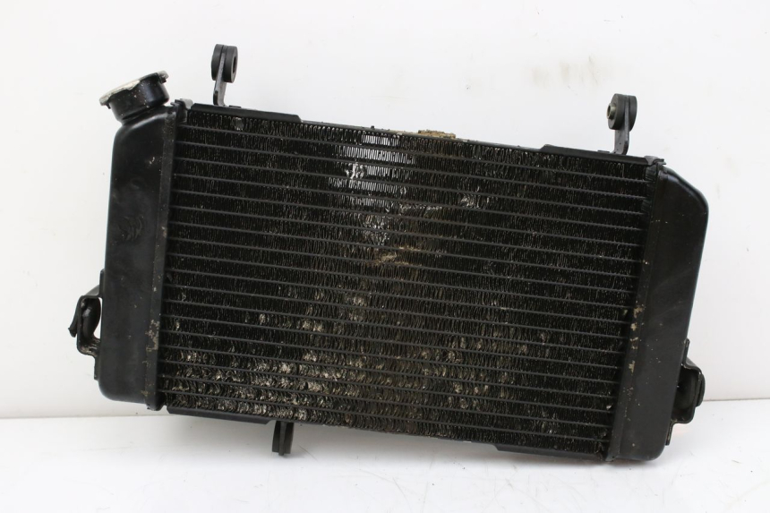 photo de RADIATOR SUZUKI SV S 650 (1999 - 2002) - Main view