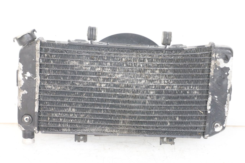 photo de RADIATOR YAMAHA TDM ABS 900 (2002 - 2014) - Main view