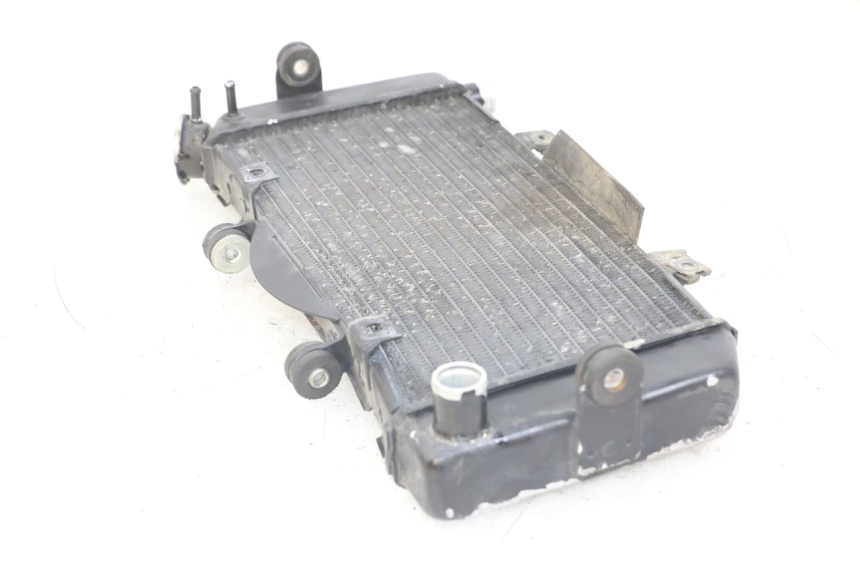 photo de RADIATOR YAMAHA TDM ABS 900 (2002 - 2014) - Product overview