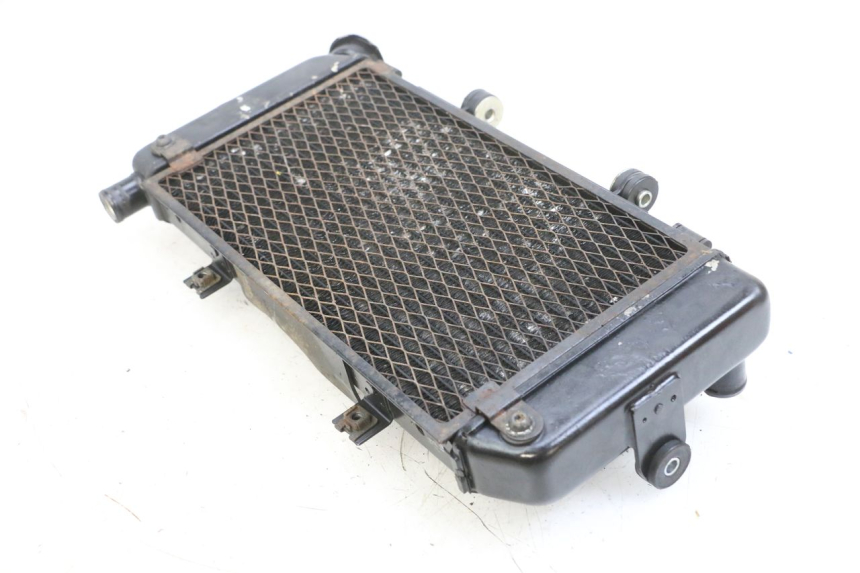photo de COOLANT RADIATOR YAMAHA TDM ABS 900 (2002 - 2014) - Alternative perspective