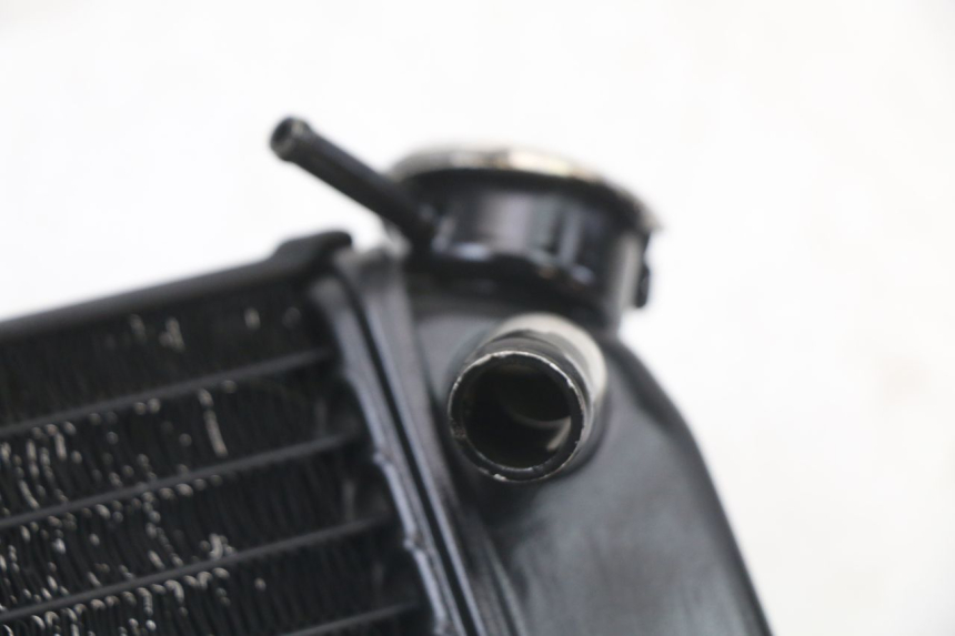 photo de RADIATOR YAMAHA TDR DELTABOX 125 (1997 - 2003) - Zoom on usage condition