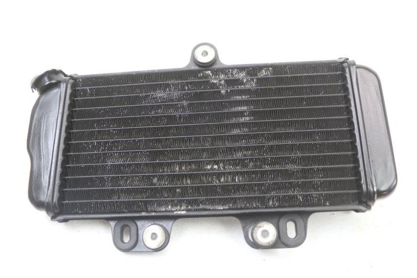 photo de RADIATOR YAMAHA TDR DELTABOX 125 (1997 - 2003) - Product overview