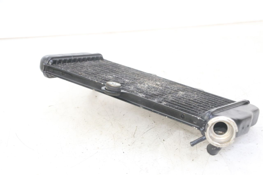 photo de RADIATOR YAMAHA TDR DELTABOX 125 (1997 - 2003) - Additional view of the item