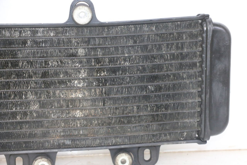 photo de RADIATOR YAMAHA TDR DELTABOX 125 (1997 - 2003) - Technical close-up