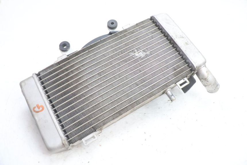 photo de COOLANT RADIATOR HONDA VFR FI RC46 800 (1998 - 2001) - Alternative perspective