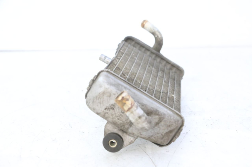 photo de RADIATOR YAMAHA XMAX X-MAX 125 (2006 - 2009) - Surface and material condition