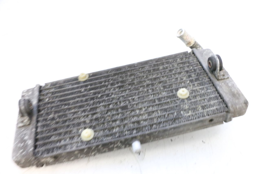 photo de RADIATOR YAMAHA X-MAX XMAX 125 (2010 - 2013) - Product overview