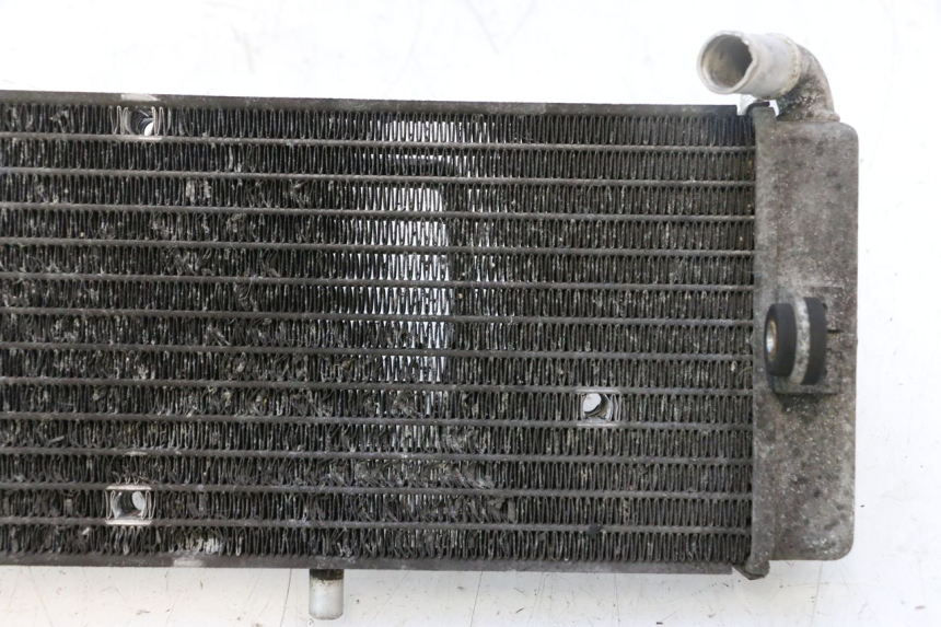 photo de RADIATOR YAMAHA X-MAX XMAX 125 (2010 - 2013) - Alternative perspective