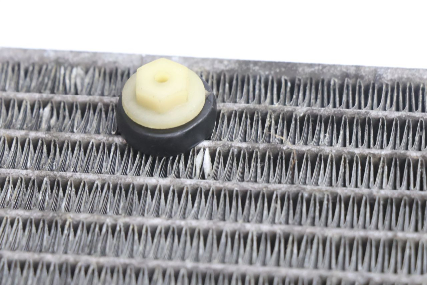 photo de RADIATOR YAMAHA X-MAX XMAX 125 (2010 - 2013) - Alternative perspective