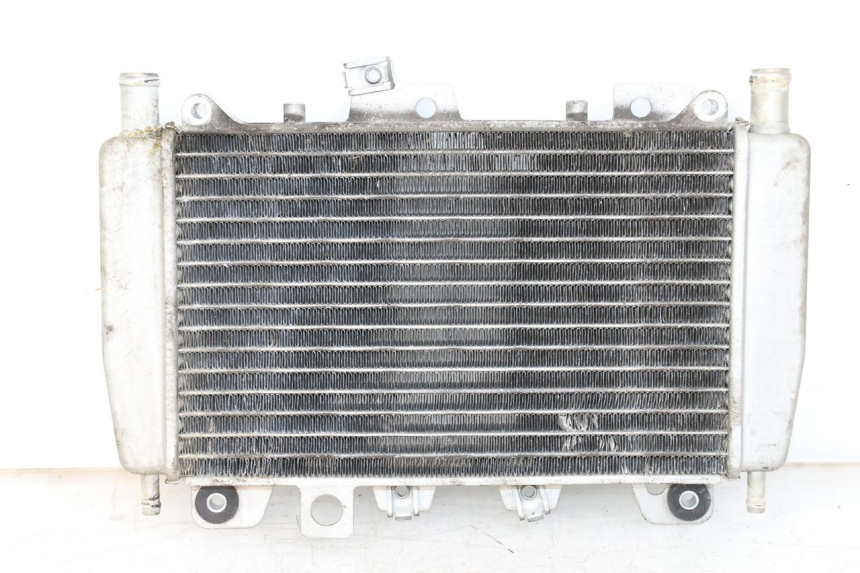 photo de RADIATOR PIAGGIO X10 125 (2012 - 2017) - Main view