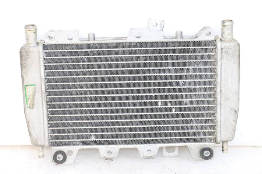 photo de RADIATOR PIAGGIO X10 125 (2012 - 2017) - Technical close-up