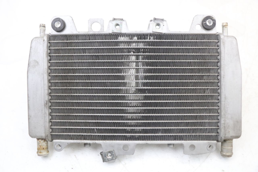 photo de RADIATOR PIAGGIO X10 125 (2012 - 2017) - Main view