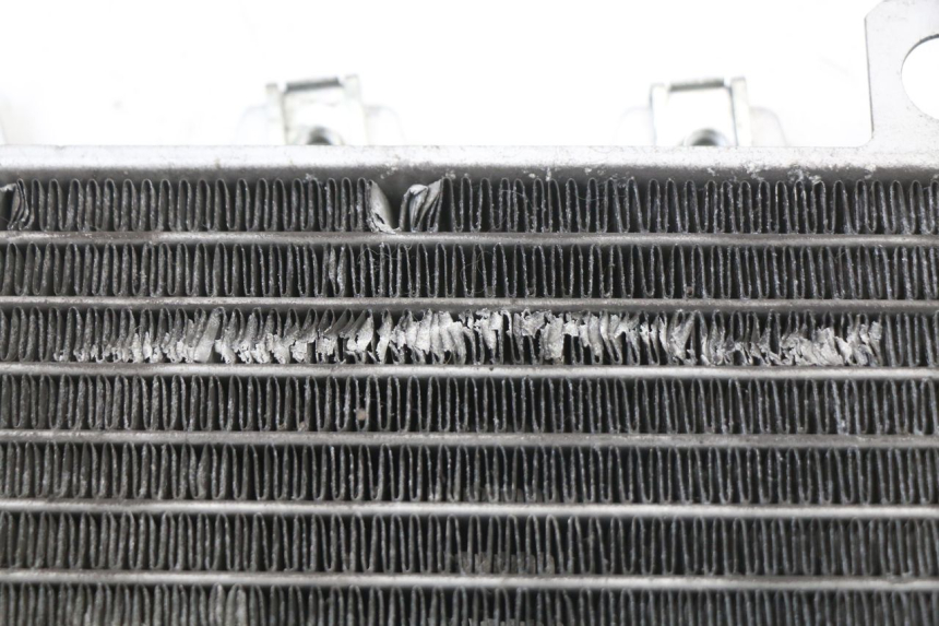 photo de RADIATOR PIAGGIO X10 125 (2012 - 2017) - Zoom on usage condition