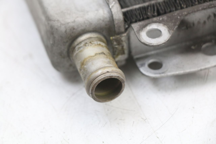 photo de RADIATOR PIAGGIO X10 125 (2012 - 2017) - Technical close-up