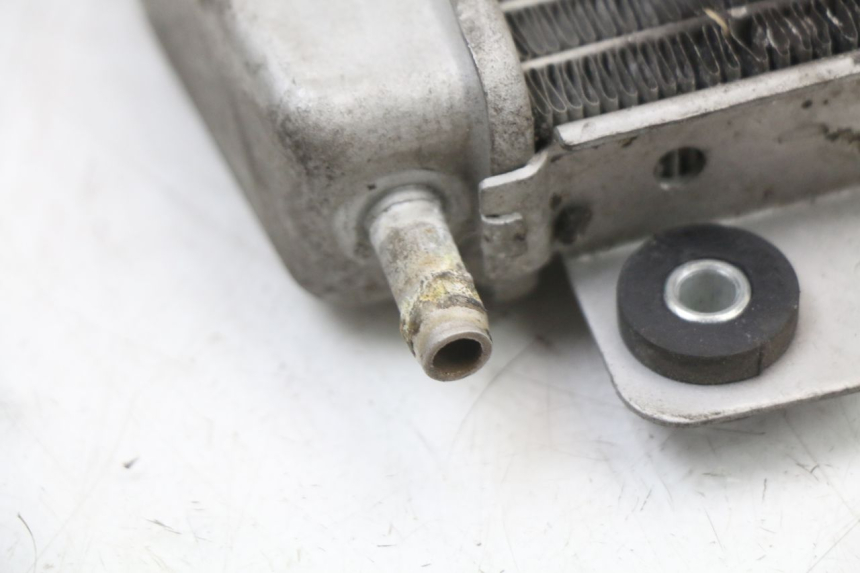 photo de RADIATOR PIAGGIO X10 125 (2012 - 2017) - Surface and material condition