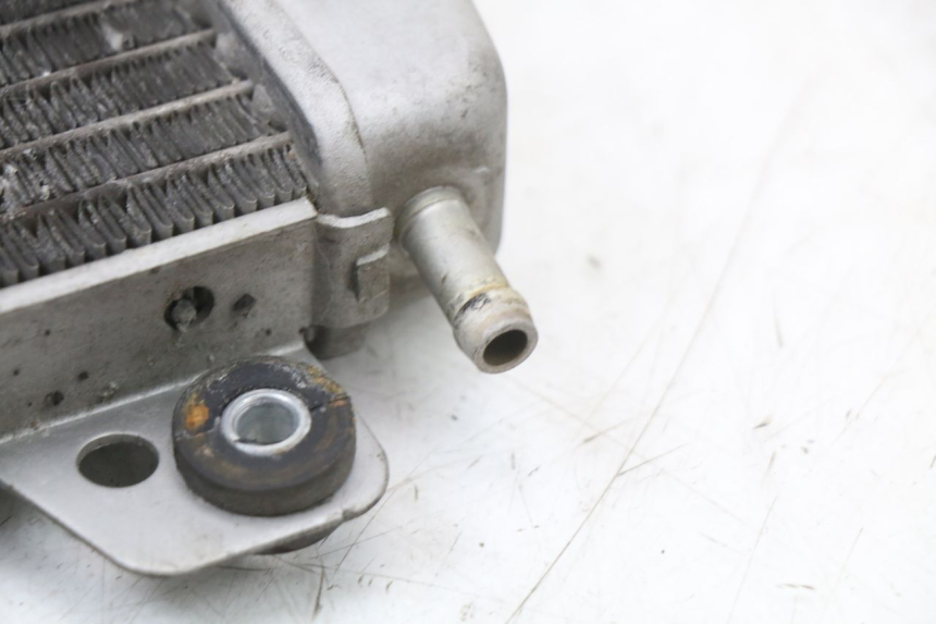 photo de RADIATOR PIAGGIO X10 125 (2012 - 2017) - Checked used part