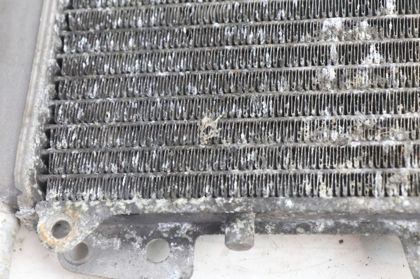 photo de COOLANT RADIATOR PIAGGIO X9 AMALFI 180 (2000 - 2003) - Product overview