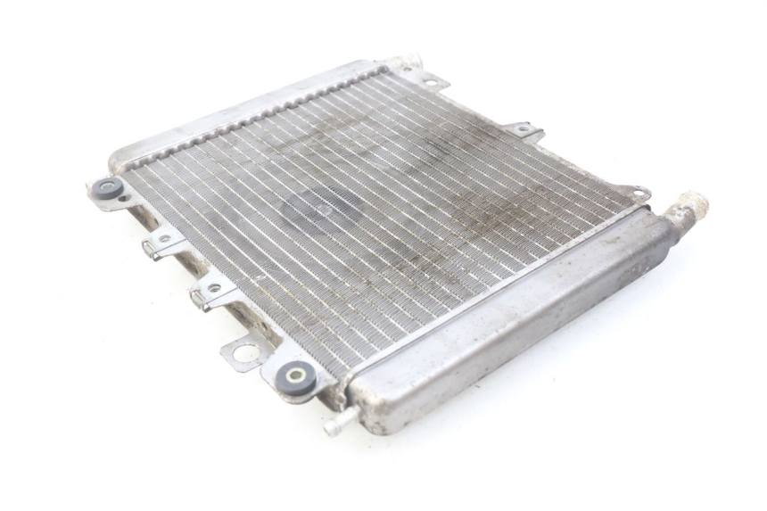 photo de RADIATOR PIAGGIO X9 EVOLUTION 500 (2003 - 2005) - Zoom on usage condition