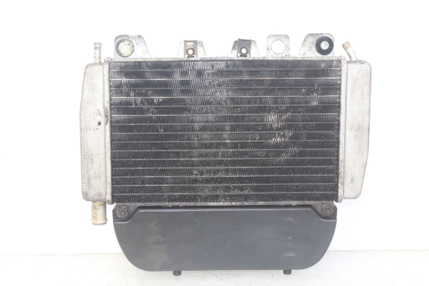 photo de RADIATOR PIAGGIO X9 EVOLUTION 250 (2003 - 2007) - Main view