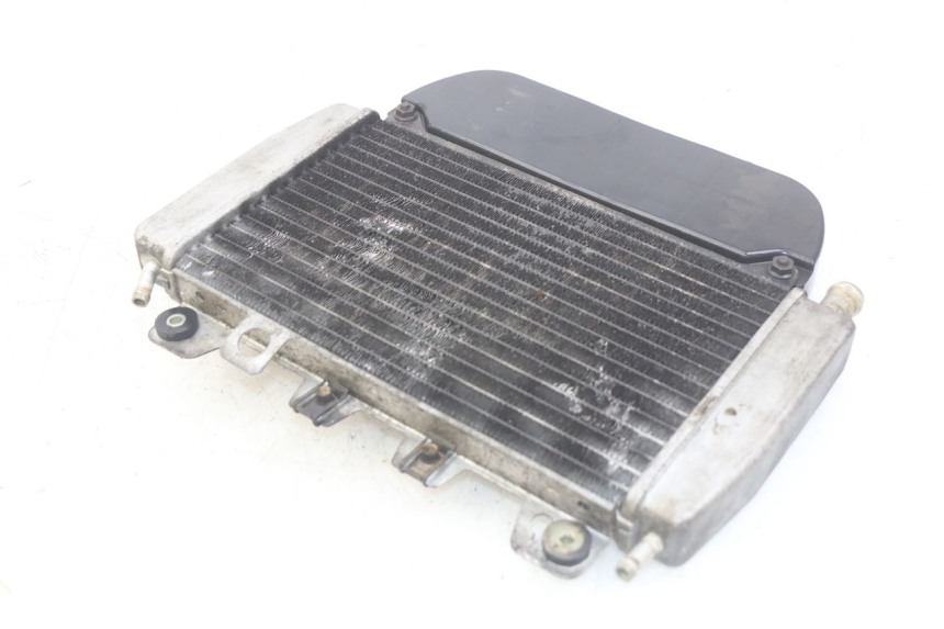 photo de RADIATOR PIAGGIO X9 EVOLUTION 250 (2003 - 2007) - Zoom on usage condition