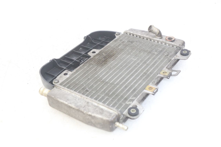 photo de RADIATOR PIAGGIO X9 EVOLUTION 250 (2003 - 2007) - Alternative perspective